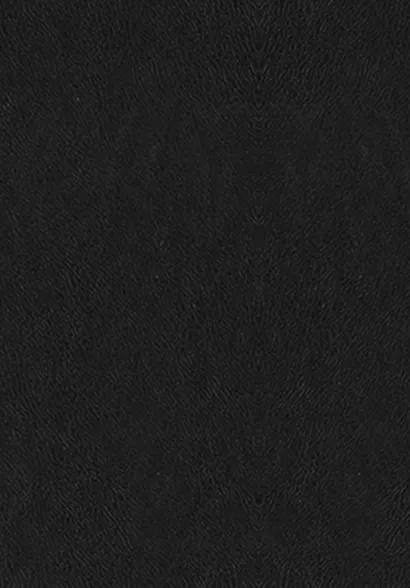 О судьбе и доблести. Александр Македонский - фото 2