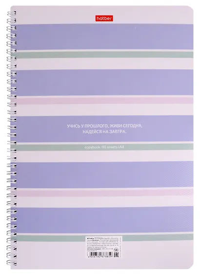 Тетрадь в клетку Hatber, "Полоски", А4, 80 листов, в ассортименте - фото 5