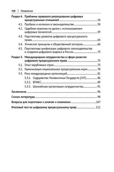 Цифровое процессуальное право. Общая часть. Учебное пособие - фото 3