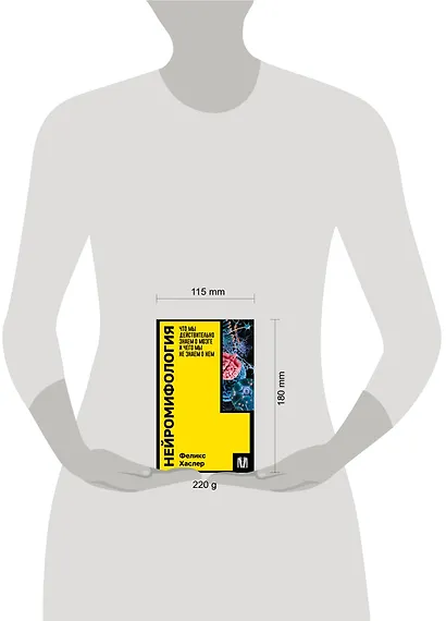 Нейромифология. Что мы действительно знаем о мозге и чего мы не знаем о нем - фото 5