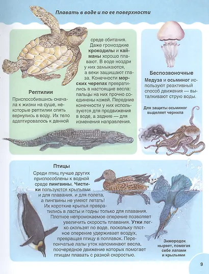 Животные. Детская иллюстрированная энциклопедия - фото 7