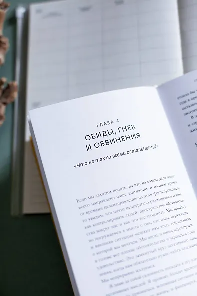 Навязчивые мысли. Как прекратить бесконечный внутренний монолог, избавиться от негативных установок - фото 6