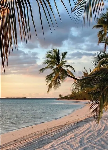 Метафорические ассоциативные карты «Благополучие» (40 карт) - фото 1