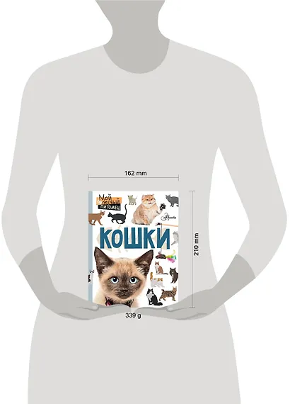 Кошки - фото 3