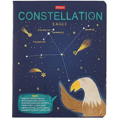 Тетрадь в клетку Hatber, "Приходи считать звезды", 48 листов, в ассортименте - фото 5