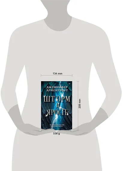 Шторм и ярость - фото 13