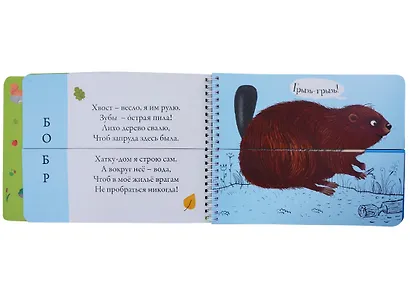 Лесные животные. Подбери картинки-половинки! 144 забавных животных - фото 2