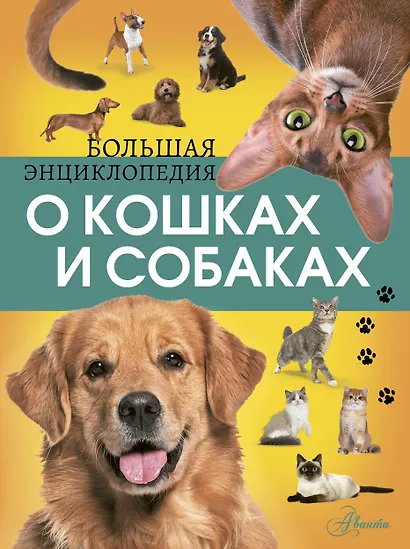Большая энциклопедия о кошках и собаках - фото 1