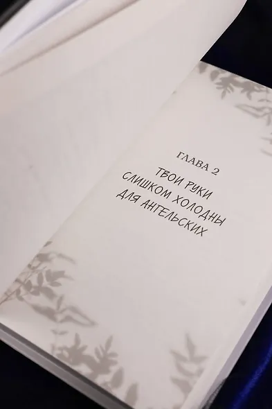 Тайное бюро иллюзий. Фантазм. Книга 1 - фото 14