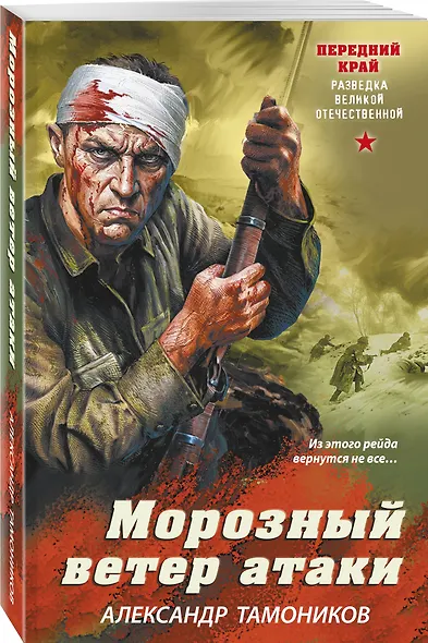 Морозный ветер атаки - фото 3