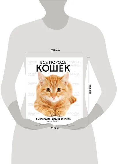 Все породы кошек - фото 4