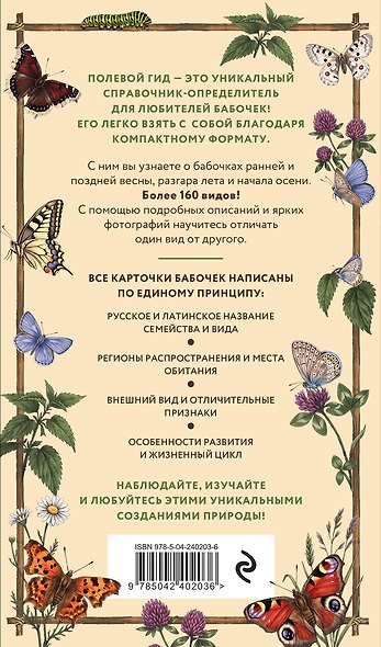 Полевой гид. Бабочки России. Карманный атлас-определитель - фото 2