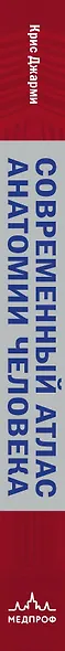 Современный атлас анатомии человека. Карманное пособие по строению костей, мышц, миофасциальных цепей и принципам движения тела - фото 8