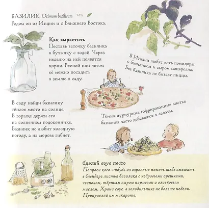 Как вырастить свой сад - фото 4