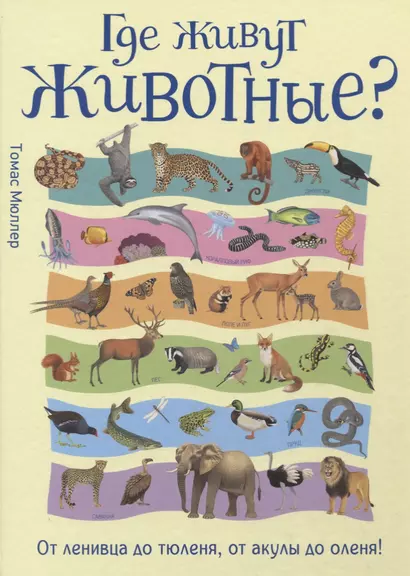 Где живут животные? От ленивца до тюленя, от акулы до оленя! - фото 1