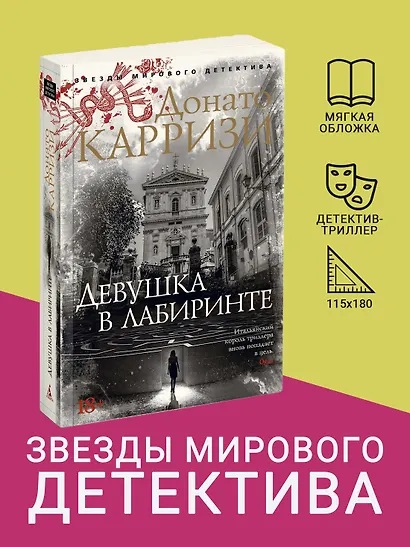 Девушка в лабиринте - фото 4