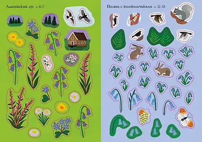 Прекрасные цветы - фото 10