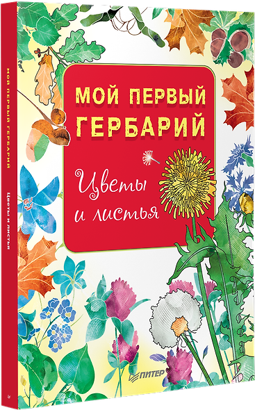 Мой первый гербарий. Цветы и листья - фото 2