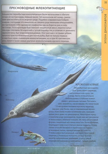 Динозавры – властелины планеты. Путешествие в доисторический мир. Детская энциклопедия - фото 8