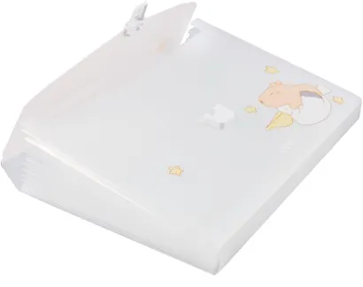 Портфель А4 12 отделений "Capybara" пластик, в ассортименте - фото 10