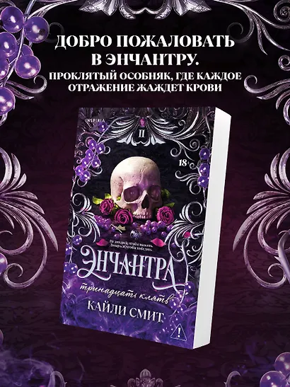 Энчантра. Тринадцать клятв - фото 4