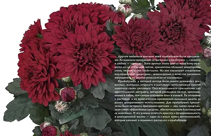 Утешение природой - фото 14