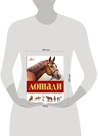 Большая иллюстрированная энциклопедия. Лошади - фото 3