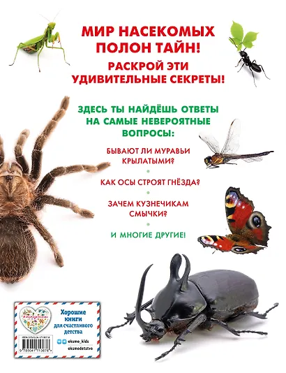 Насекомые - фото 2