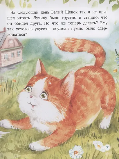 Как Лучик перестал драться - фото 7