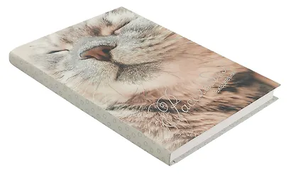 Ежедневник недатированный А5 128 листов, "Расслабься", ламинация Soft Touch - фото 2