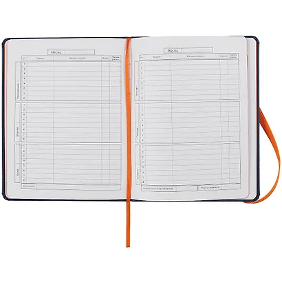 Дневник школьный Феникс+, "Буква оранжевая" - фото 2