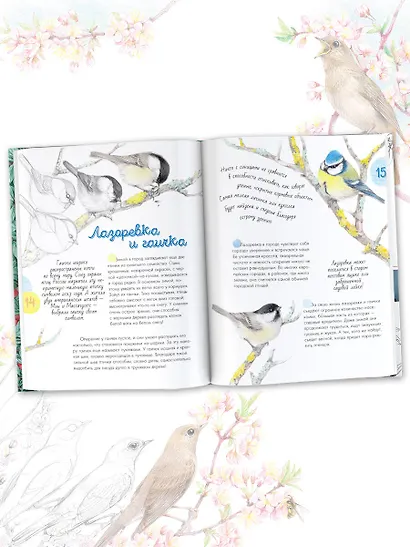 Птицы в городе - фото 6