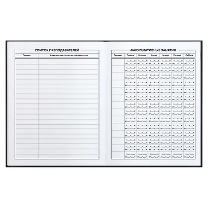 Дневник школьный Феникс+, "Обыкновенный" - фото 7