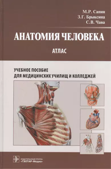 Анатомия человека : атлас : учеб. пособие для медицинских училищ и колледжей - фото 1