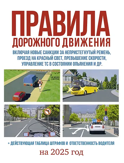 Правила дорожного движения на 2025 год. Действующая таблица штрафов и ответственность водителя - фото 1