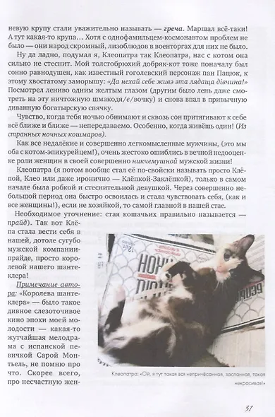 Коты и Кошки. Заметки диванного натуралиста - фото 8