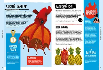 Мир вокруг тебя. Тайны мирового океана - фото 5