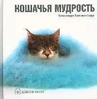 Кошачья мудрость - фото 1