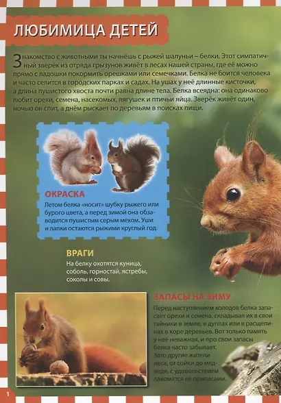 Животные России - фото 2