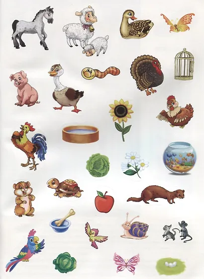 Домашние животные (обучающая активити +50). - фото 5