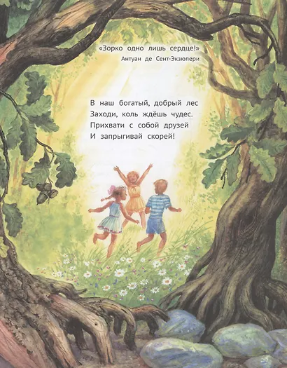 Лес чудес. Энциклопедия для детей - фото 3
