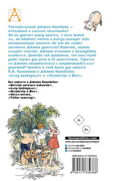 Мушкетер и Фея. Истории из жизни Джонни Воробьёва - фото 2