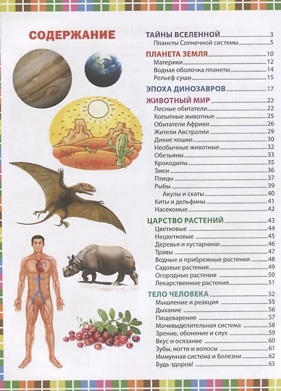 Большая книга для дошколят и младших школьников. Энциклопедия будущего отличника - фото 2