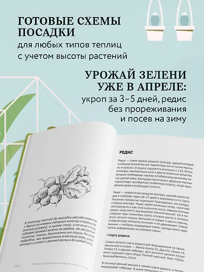 Теплица без ошибок. Все, что нужно знать, чтобы получить ранний и богатый урожай - фото 6