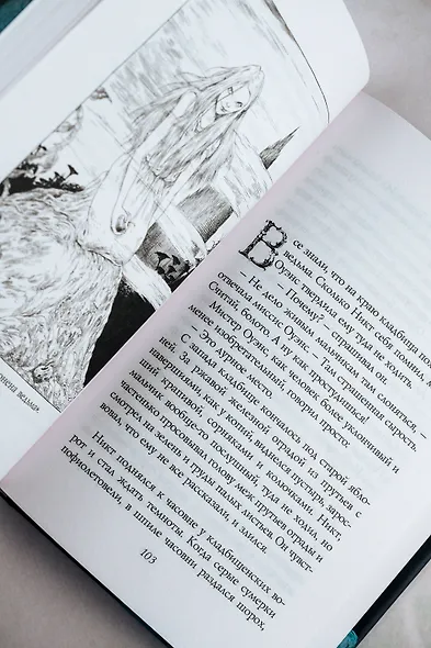 История с кладбищем: роман - фото 9