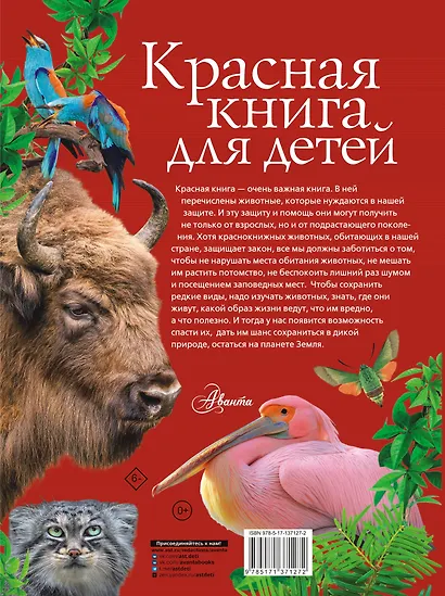 Красная книга для детей. Редкие животные России - фото 2