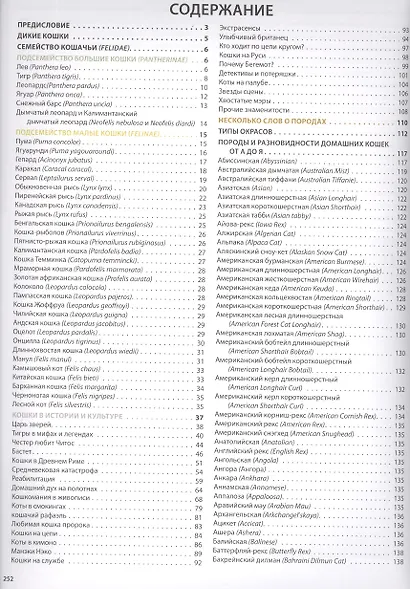 Большая иллюстрированная энциклопедия. Кошки - фото 2
