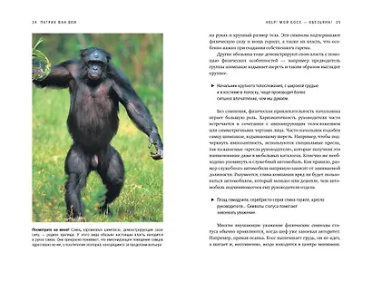 Help! Мой босс – обезьяна! Социальное поведение на работе с точки зрения биологии - фото 8