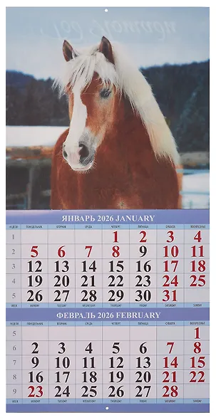 Календарь 2026г 285*285 "Год Лошади. Вид 1" 6л, настенный, на скрепке - фото 3