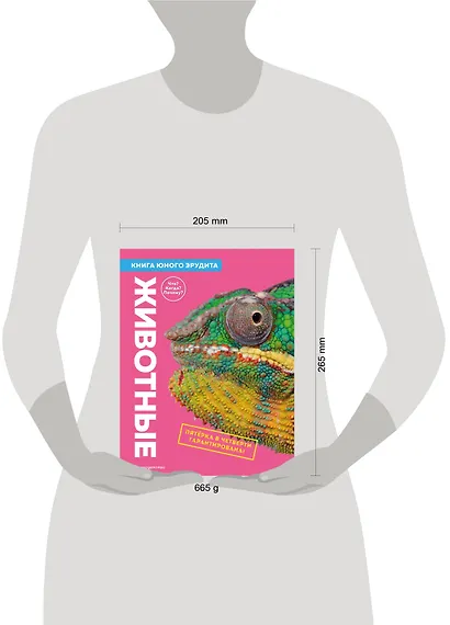 Животные. Книга юного эрудита - фото 12